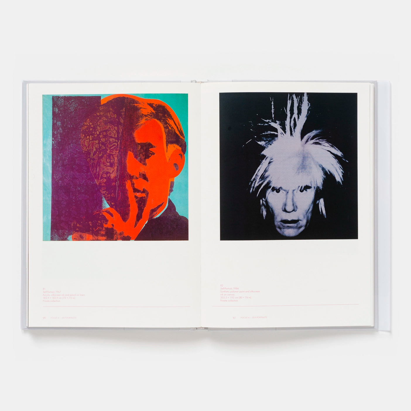 Andy Warhol - Phaidon Focus