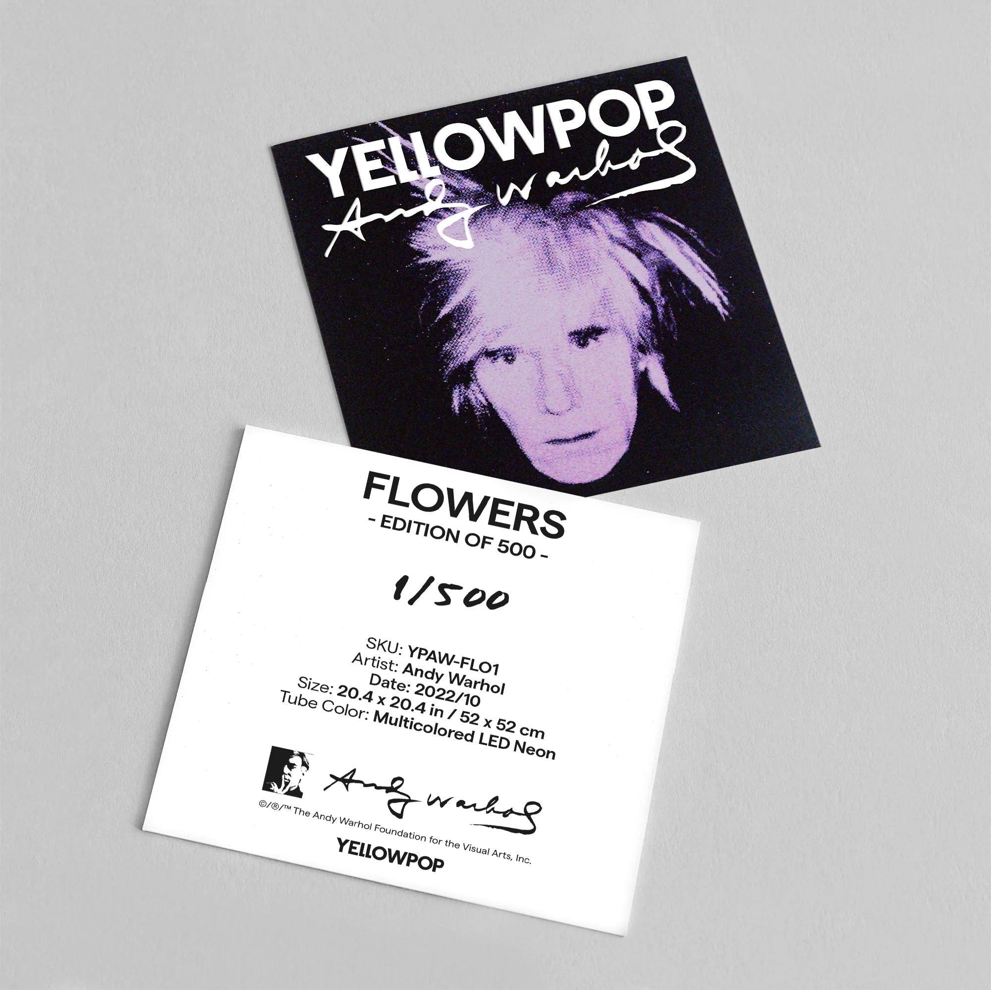 Andy Warhol - 'Flowers' x YP