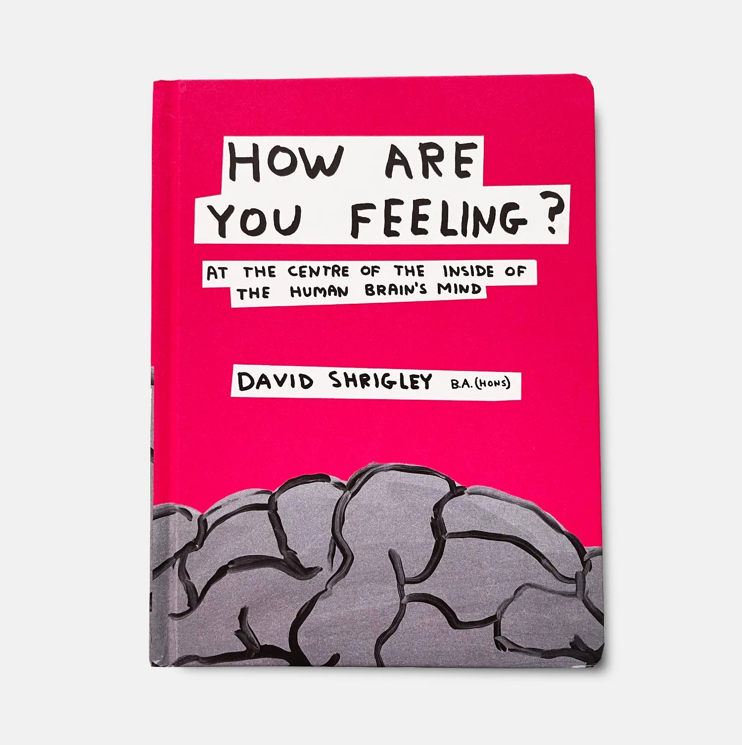 David Shrigley - How are you feeling?